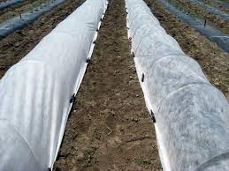 When using harvest guard blanket for seed germination, you will see up to 100% improved seed germination (versus straw) due to the protective cover trapping heat and moisture, in turn speeding up and. Row Covers For Frost Protection And Earliness In Vegetable Production Msu Extension