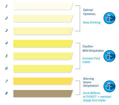 hydration testing in the workplace explained thorzt