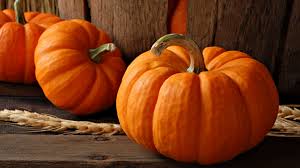 Image result for pumpkin