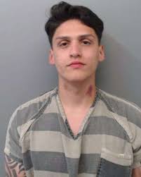 Affidavit: Facebook video led to capture of Laredo couple suspected of  animal cruelty