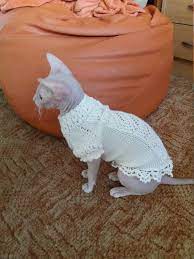Clothes For Sphinx Knitted Sweater For Cats Cat Etsy In 2021 Cat Clothes Cat Sweaters Cat Hat Pattern