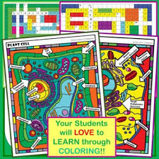 Check spelling or type a new query. Plant Animal Cell Color By Letters Color Crosswords Quizzes Youtube Videos