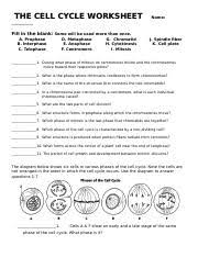Terms in this set (38). Handout Cell Cycle Review Pdf Wlhs Biology Name The Cell Cycle Worksheet Fill In The Blank Some Will Be Used More Than Once A Prophase B Interphase Course Hero