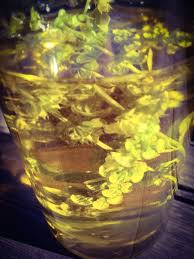 Loulougourmet Que Faire Avec Mon Basilic Fleurs Feuilles Compagnie Basilic Fleurs Basilic Feuille De Basilic