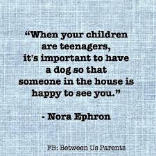 Yep, you're 16 and pregnant. Quotes Teenager Work While They Are Students Funny Quotes About Parenting Teenagers Parenting Humor Teenagers Dogtrainingobedienceschool Com