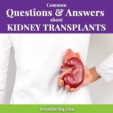 Facts About Organ Transplant Renal Diet Menu Headquarters Kidney Transplant Renal Diet Kidney Disease Diet