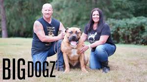 Hi im not sure if you hot my message im looking to import a blavk female to australia. Barbarian Boerboels The 200lb Dogs Of War Big Dogz Youtube