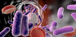 Alerta por el incremento de resistencias antimicrobianas