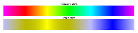 are dogs color blind side by side views american kennel club