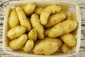 Bilderesultat for tuber