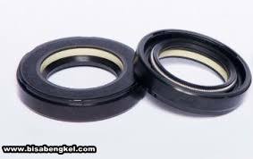 Seal ini berfungsi mencegah kebocoran minyak rem pada as power steering. Cara Perbaikan Mudah Jika Power Steering Rembes Pada Colt Diesel Canter Dunia Otomotif Id