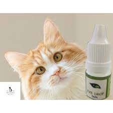 | ini dia alasan mata kucing mengeluarkan cahaya. Ubat Mata Kucing Anjing Eye Drops Treatment For Cat Dog Shopee Malaysia