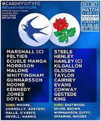 Pin On Cardiff City Ccfc
