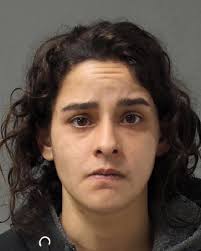 Angelina Alicea was sentenced today to 2½-13 years in state prison,  followed by probation, after pleading guilty to Aggravated Assault, Theft,  Escape, Resisting Arrest, Criminal Mischief, Institutional Vandalism and  Possession of Drug