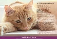 We did not find results for: Pet Loss Support From The Ralph Site