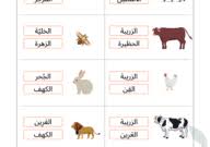 أسماء بيوت الحيوانات مفردات قراءة shopping