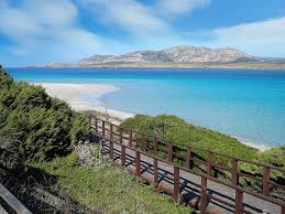 Der strand verzaubert euch mit kristallklarem und wunderbar schimmerndem blauen wasser und einem schönen sandstrand. Stintino Sardinia The Most Beautiful Beach Of Sardinia