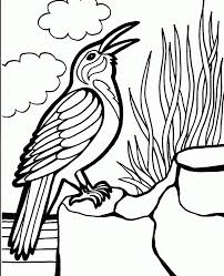 Make a coloring book with penguin sketch for one click. Pin On Coloring Pages Birds