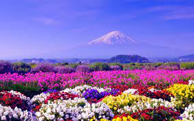Best spring wallpaper, desktop background for any computer, laptop, tablet and phone. Spring Desktop Backgrounds Airwallpaper Com