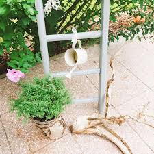 Moin Deko Dekoleiter Diy Landleben Hibiskus Gartengestaltung Garten Gartengestaltung Garten Hibiskus