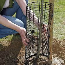 Damit dieses allerdings auch wirkung zeigt, muss es natron enthalten. Rehe Aus Dem Garten Vertreiben Mein Schoner Garten