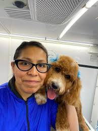 Mobile Dog Grooming Services in Rockwall, TX Area