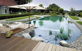 Naturpool 9 Bestrittene Mythen Haus Dekoration Mehr Naturpool 9 Bestrittene Mythen Hutte Pools Swimmi Naturschwimmbad Schwimmbad Designs Schwimmteich