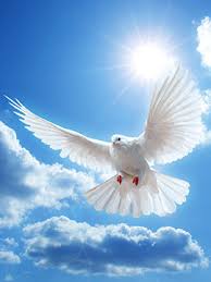 Obituary information for Robin DeGroot