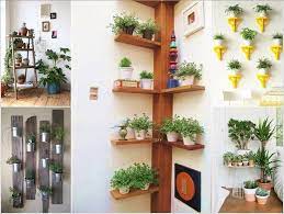 15 Amazing Ideas To Display Your Indoor Plants Indoor Plants House Plants Decor Plants