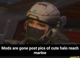 Mods Are Gone Post Pics Of Cute Halo Reach Marine Mods Are Gone Post Pics Of Cute Halo Reach Marine Ifunny Halo Reach Cortana Halo Halo