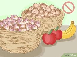 Studies have shown that these oils can inhibit sprouting in potatoes. How To Stop Potatoes From Sprouting In Storage 9 Steps