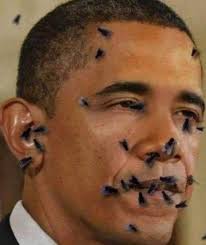 Indeed. Trump is racist all right.., #racism #stopthehate #StopLying  #TrumpIsNotRacist #TrumpIsRacist