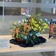 Books in Bloom by the Weymouth Garden Club event image