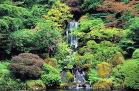 Summer Gallery Portland Japanese Garden Public Garden Japanese Garden