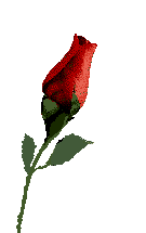 Explore and share the best matrimonio gifs and most popular animated gifs here on giphy. 50 Anniversario Di Matrimonio Rosalia E Antonino Ustica Sape