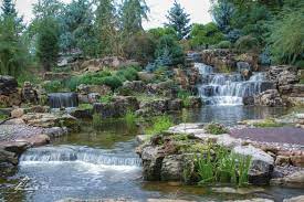 Share or comment on this article: Million Dollar Backyard Aquascape Construction