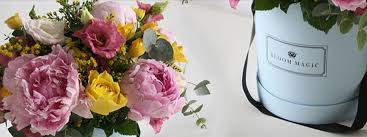 In bloom flowers coupon code. Verified 10 Bloom Magic Flowers Discount Code Promo Codes September 2021