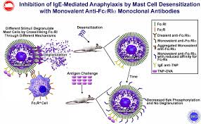 Getting started | contributor zone ». Suppression Of Ige Mediated Anaphylaxis And Food Allergy With Monovalent Anti Fceria Mabs Journal Of Allergy And Clinical Immunology