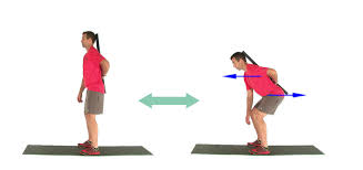Pin On Pilates