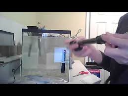 How To Setup A Topfin Heater Thermometer Youtube
