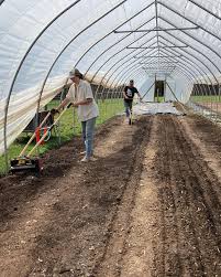 Meet our 2023 farm helpers; Lillian, Aaron and Mabel! We're so thankful  that we found these two humans (and the canine, too). They've jumped in  with an awesome attitude and work ethic