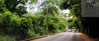 Achimota Forest Country Roads Ghana Forest