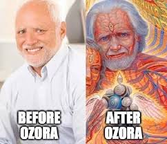 Hide The Pain Harold Before And After Ozora Psytrance