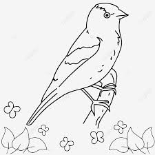 200+ vectors, stock photos & psd files. Decorative Cardinal Birds Mandala Adult Coloring Pages Black And White Line Art Illustration For Book Vector Illustrations Children Bluebird Vector Bluebird Outline Bluebird Coloring Book Png And Vector With Transparent Background For