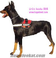 Kopek Sirt Tasmasi Imalati