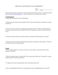 Get the free fillable organic molecules worksheet review form online. Organic Macromolecules Worksheet Carbohydrates Lipids