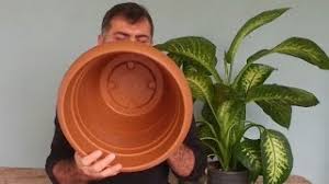 Saksıların altı neden deliktir ? Saksilarin Altinda Mutlaka Delik Olmali Youtube