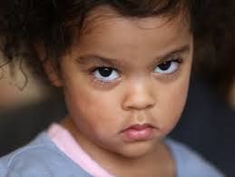 Kelly Wilkinson's favorite photos of November