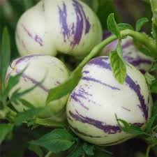 Epingle Sur Food Veggies Fruit