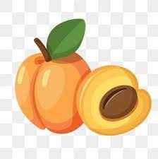 Yellow Peach Peach Fruit Summer Fruit Peach Clipart Peach Cartoon Peach Png And Vector With Transparent Background For Free Download Summer Fruit Peach Fruit Peach Paint